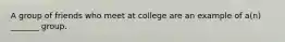 A group of friends who meet at college are an example of a(n) _______ group.