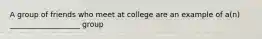 A group of friends who meet at college are an example of a(n) ___________________ group