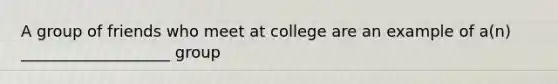 A group of friends who meet at college are an example of a(n) ___________________ group