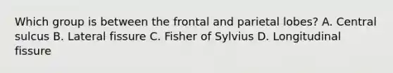 Which group is between the frontal and parietal lobes? A. Central sulcus B. Lateral fissure C. Fisher of Sylvius D. Longitudinal fissure