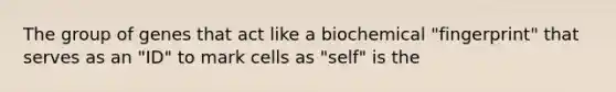 The group of genes that act like a biochemical "fingerprint" that serves as an "ID" to mark cells as "self" is the