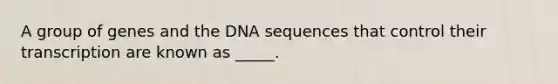 A group of genes and the DNA sequences that control their transcription are known as _____.