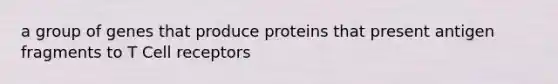 a group of genes that produce proteins that present antigen fragments to T Cell receptors