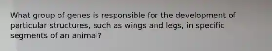 What group of genes is responsible for the development of particular structures, such as wings and legs, in specific segments of an animal?