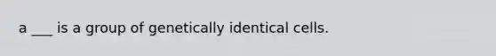 a ___ is a group of genetically identical cells.