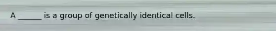 A ______ is a group of genetically identical cells.