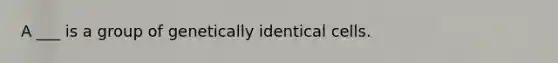 A ___ is a group of genetically identical cells.