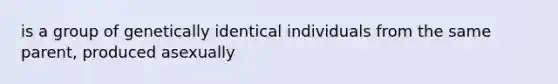 is a group of genetically identical individuals from the same parent, produced asexually