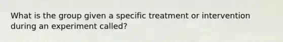 What is the group given a specific treatment or intervention during an experiment called?