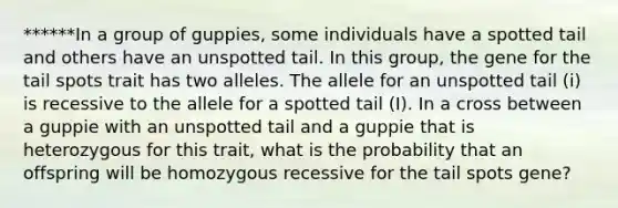 ******In a group of guppies, some individuals have a spotted tail and others have an unspotted tail. In this group, the gene for the tail spots trait has two alleles. The allele for an unspotted tail (i) is recessive to the allele for a spotted tail (I). In a cross between a guppie with an unspotted tail and a guppie that is heterozygous for this trait, what is the probability that an offspring will be homozygous recessive for the tail spots gene?