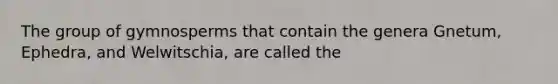 The group of gymnosperms that contain the genera Gnetum, Ephedra, and Welwitschia, are called the