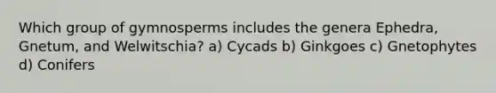 Which group of gymnosperms includes the genera Ephedra, Gnetum, and Welwitschia? a) Cycads b) Ginkgoes c) Gnetophytes d) Conifers