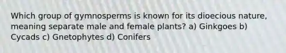 Which group of gymnosperms is known for its dioecious nature, meaning separate male and female plants? a) Ginkgoes b) Cycads c) Gnetophytes d) Conifers