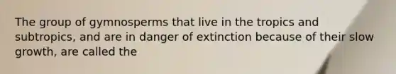 The group of gymnosperms that live in the tropics and subtropics, and are in danger of extinction because of their slow growth, are called the