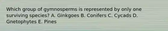 Which group of gymnosperms is represented by only one surviving species? A. Ginkgoes B. Conifers C. Cycads D. Gnetophytes E. Pines
