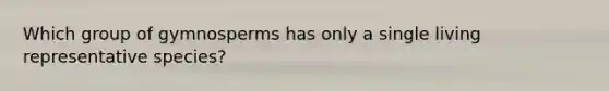 Which group of gymnosperms has only a single living representative species?