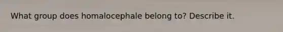 What group does homalocephale belong to? Describe it.