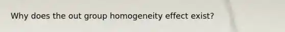 Why does the out group homogeneity effect exist?