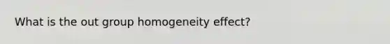 What is the out group homogeneity effect?