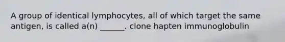 A group of identical lymphocytes, all of which target the same antigen, is called a(n) ______. clone hapten immunoglobulin