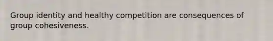 Group identity and healthy competition are consequences of group cohesiveness.