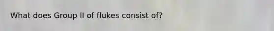 What does Group II of flukes consist of?