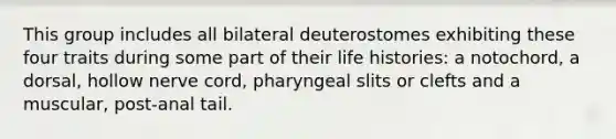 This group includes all bilateral deuterostomes exhibiting these four traits during some part of their life histories: a notochord, a dorsal, hollow nerve cord, pharyngeal slits or clefts and a muscular, post-anal tail.