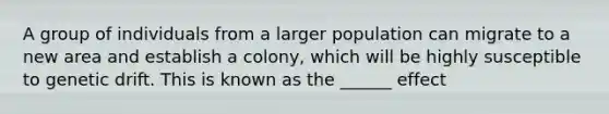 A group of individuals from a larger population can migrate to a new area and establish a colony, which will be highly susceptible to genetic drift. This is known as the ______ effect