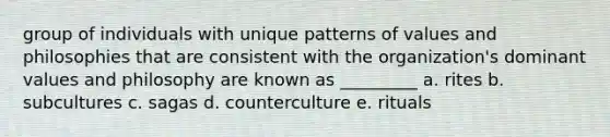 group of individuals with unique patterns of values and philosophies that are consistent with the organization's dominant values and philosophy are known as _________ a. rites b. subcultures c. sagas d. counterculture e. rituals