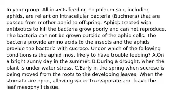 In your group: All insects feeding on phloem sap, including aphids, are reliant on intracellular bacteria (Buchnera) that are passed from mother aphid to offspring. Aphids treated with antibiotics to kill the bacteria grow poorly and can not reproduce. The bacteria can not be grown outside of the aphid cells. The bacteria provide amino acids to the insects and the aphids provide the bacteria with sucrose. Under which of the following conditions is the aphid most likely to have trouble feeding? A.On a bright sunny day in the summer. B.During a drought, when the plant is under water stress. C.Early in the spring when sucrose is being moved from the roots to the developing leaves. When the stomata are open, allowing water to evaporate and leave the leaf mesophyll tissue.