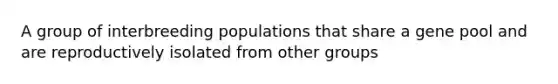 A group of interbreeding populations that share a gene pool and are reproductively isolated from other groups