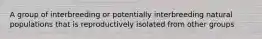 A group of interbreeding or potentially interbreeding natural populations that is reproductively isolated from other groups