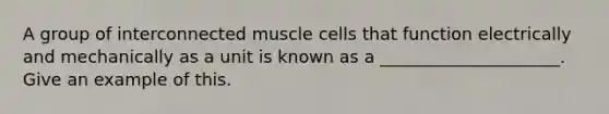 A group of interconnected muscle cells that function electrically and mechanically as a unit is known as a _____________________. Give an example of this.