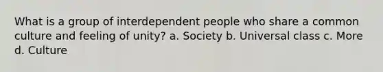 What is a group of interdependent people who share a common culture and feeling of unity? a. Society b. Universal class c. More d. Culture