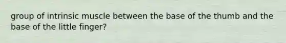 group of intrinsic muscle between the base of the thumb and the base of the little finger?