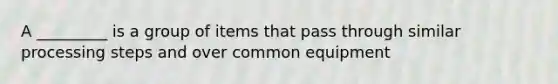 A _________ is a group of items that pass through similar processing steps and over common equipment