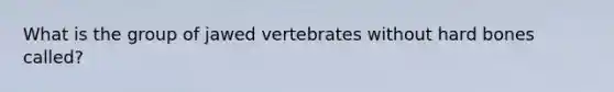 What is the group of jawed vertebrates without hard bones called?