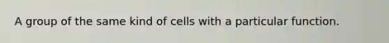 A group of the same kind of cells with a particular function.