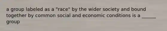 a group labeled as a "race" by the wider society and bound together by common social and economic conditions is a ______ group