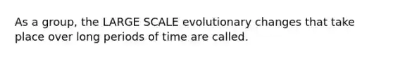 As a group, the LARGE SCALE evolutionary changes that take place over long periods of time are called.