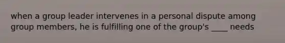 when a group leader intervenes in a personal dispute among group members, he is fulfilling one of the group's ____ needs