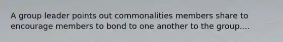 A group leader points out commonalities members share to encourage members to bond to one another to the group....