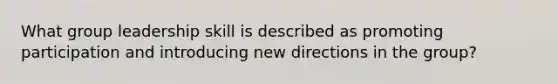 What group leadership skill is described as promoting participation and introducing new directions in the group?
