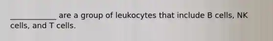 ____________ are a group of leukocytes that include B cells, NK cells, and T cells.