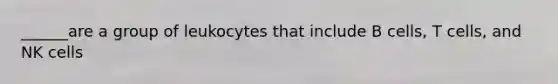 ______are a group of leukocytes that include B cells, T cells, and NK cells