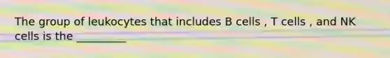 The group of leukocytes that includes B cells , T cells , and NK cells is the _________