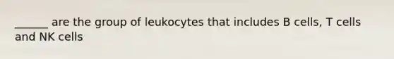 ______ are the group of leukocytes that includes B cells, T cells and NK cells