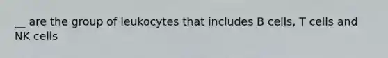 __ are the group of leukocytes that includes B cells, T cells and NK cells