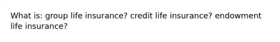 What is: group life insurance? credit life insurance? endowment life insurance?