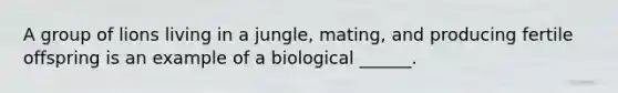 A group of lions living in a jungle, mating, and producing fertile offspring is an example of a biological ______.